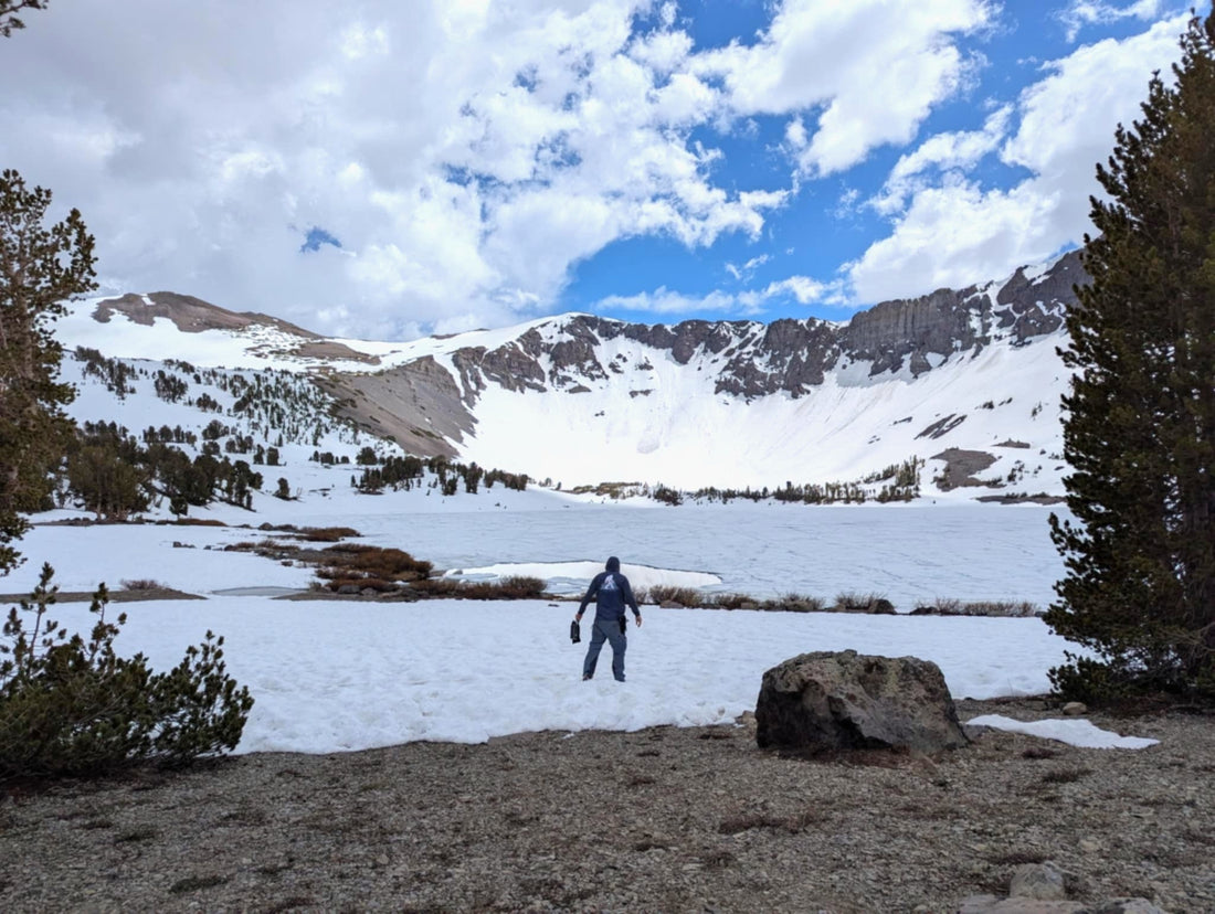 Field Note 015 — When the Trip Falls Apart