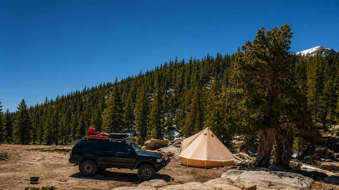 Field Note 005 — Comfort Isn't Cheating