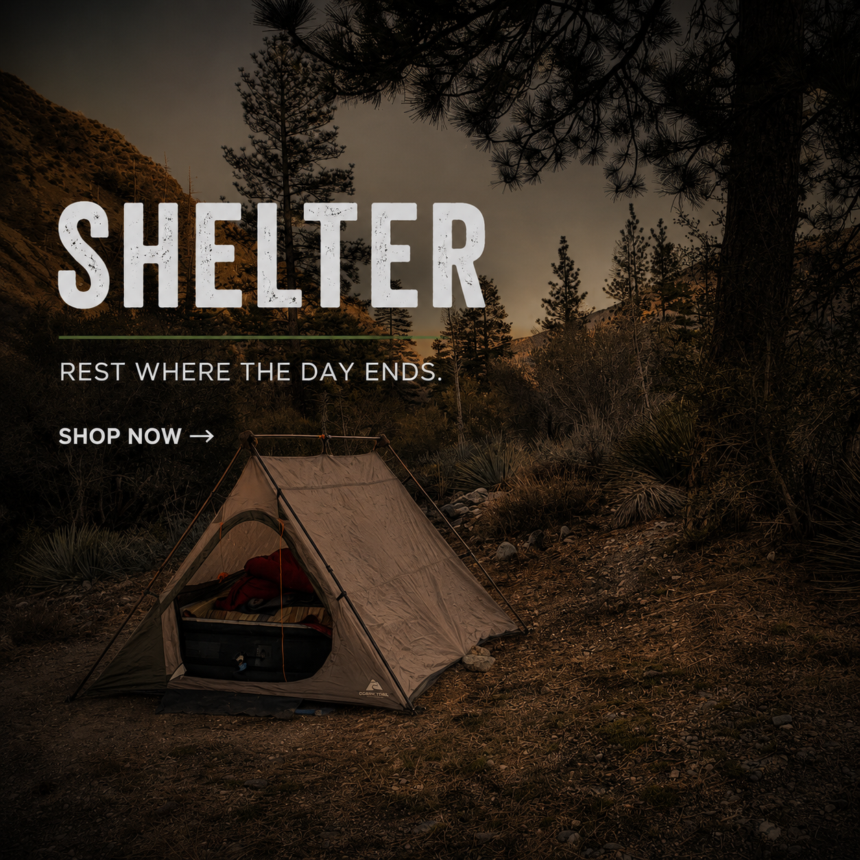 Shelter