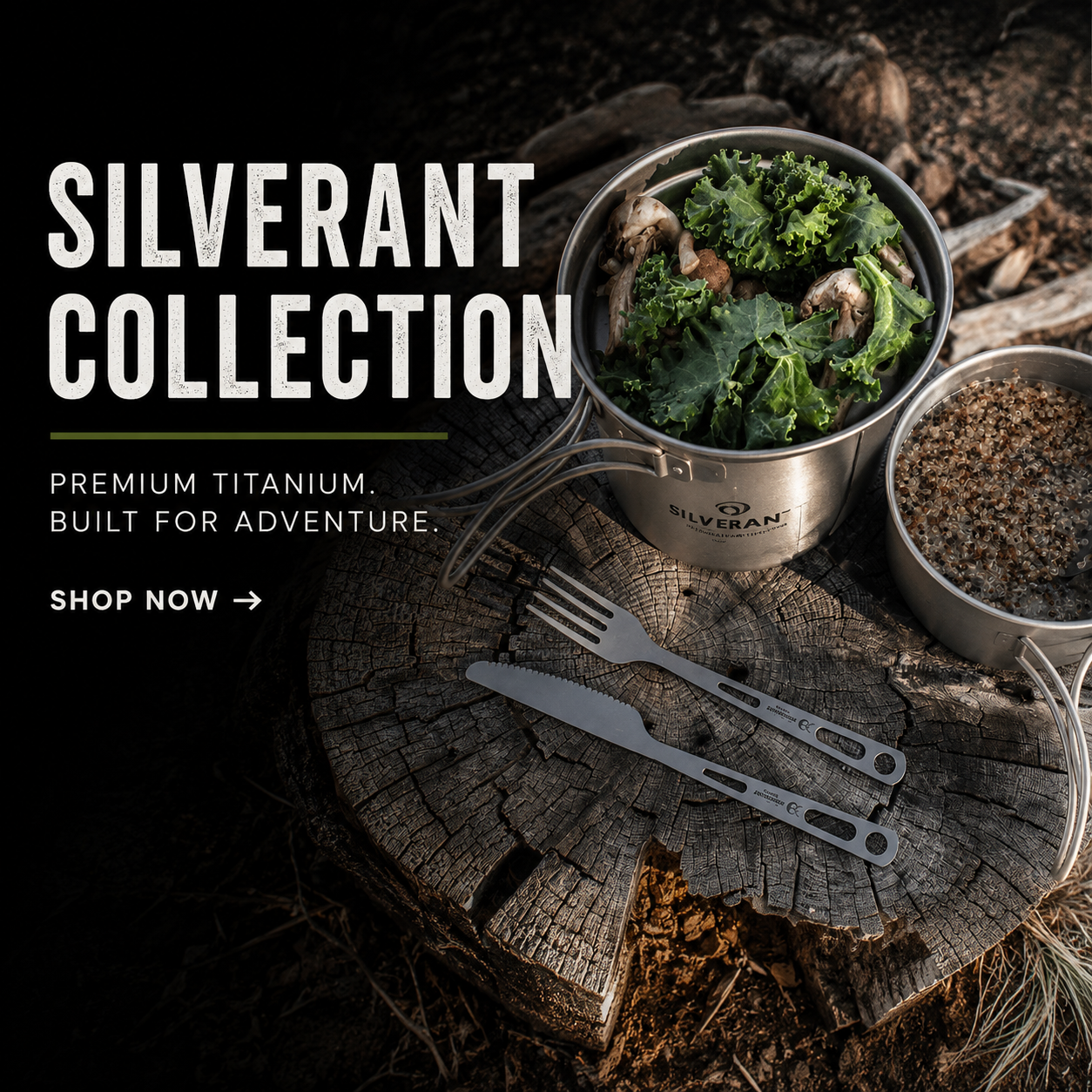 SilverAnt Collection